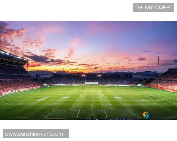 《球星传奇：在绿茵场上书写属于他们的荣耀与梦想》